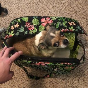 Green Vera Bradley dog carrier